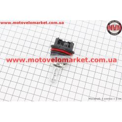 Лампа фары 12V 40/40W цоколь PH11